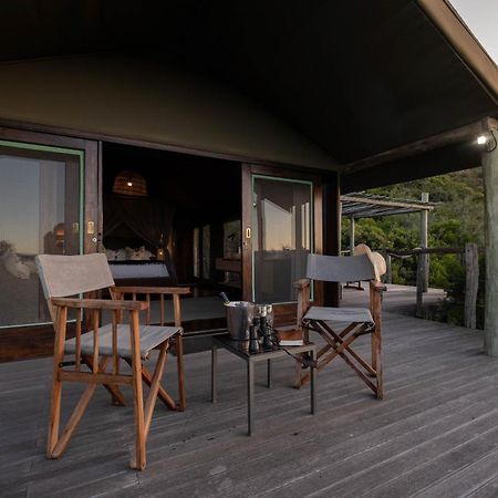 Hillsnek Safari Camp - Amakhala Game Reserve Ngoại thất bức ảnh