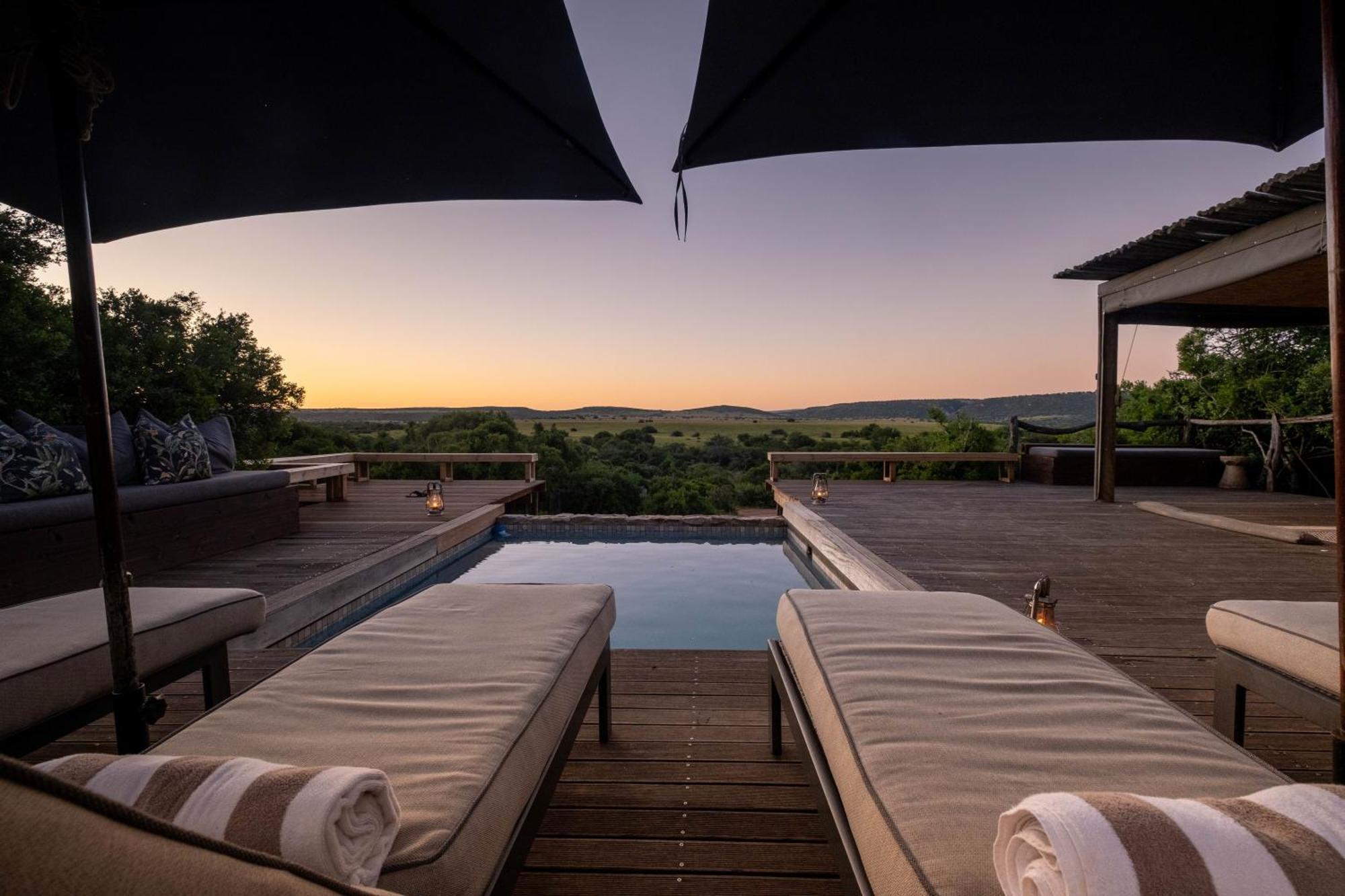 Hillsnek Safari Camp - Amakhala Game Reserve Ngoại thất bức ảnh