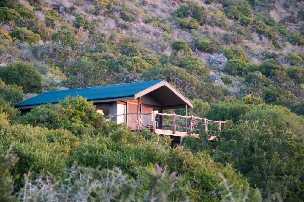 Hillsnek Safari Camp - Amakhala Game Reserve Villa Phòng bức ảnh