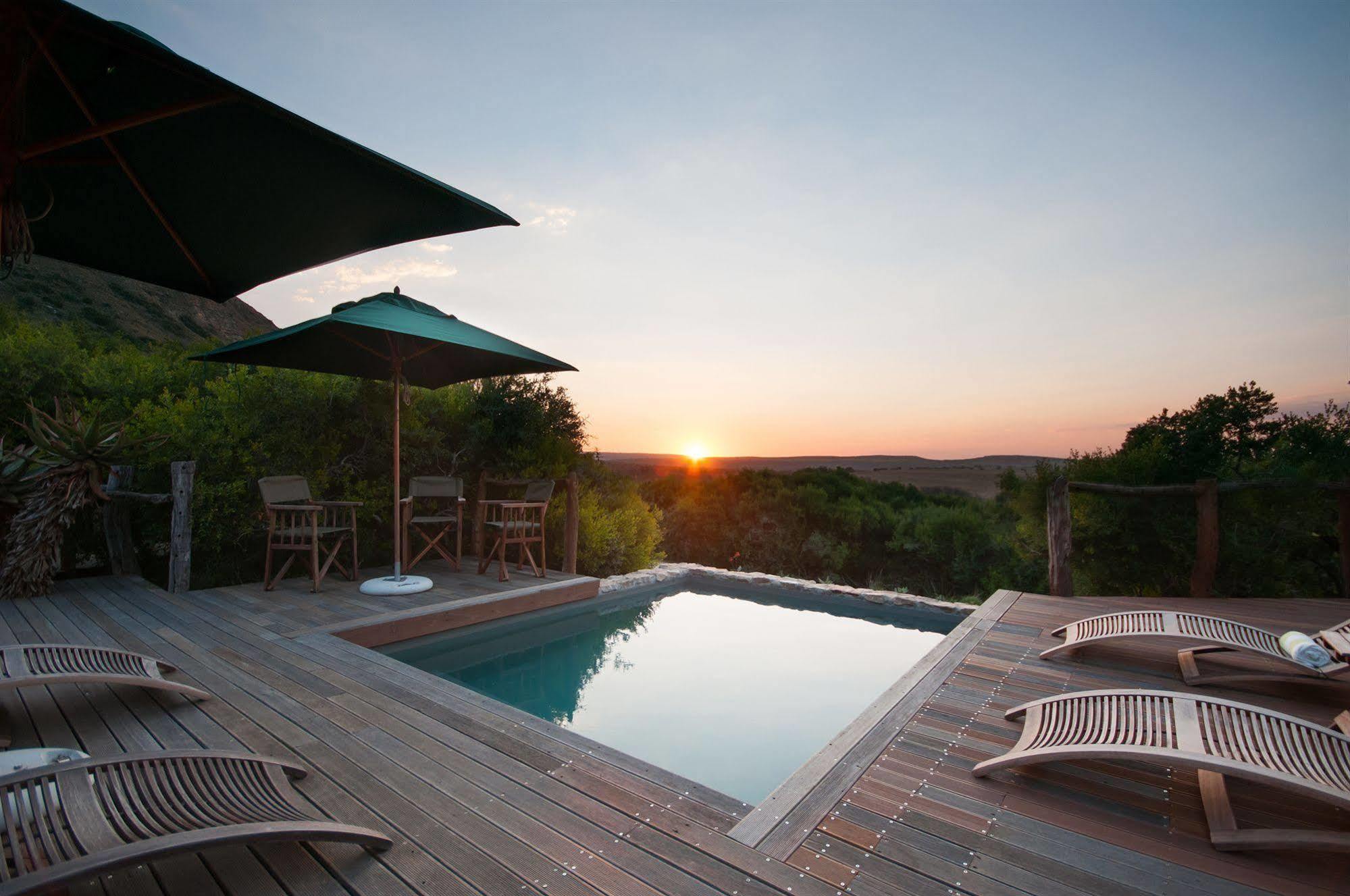 Hillsnek Safari Camp - Amakhala Game Reserve Ngoại thất bức ảnh