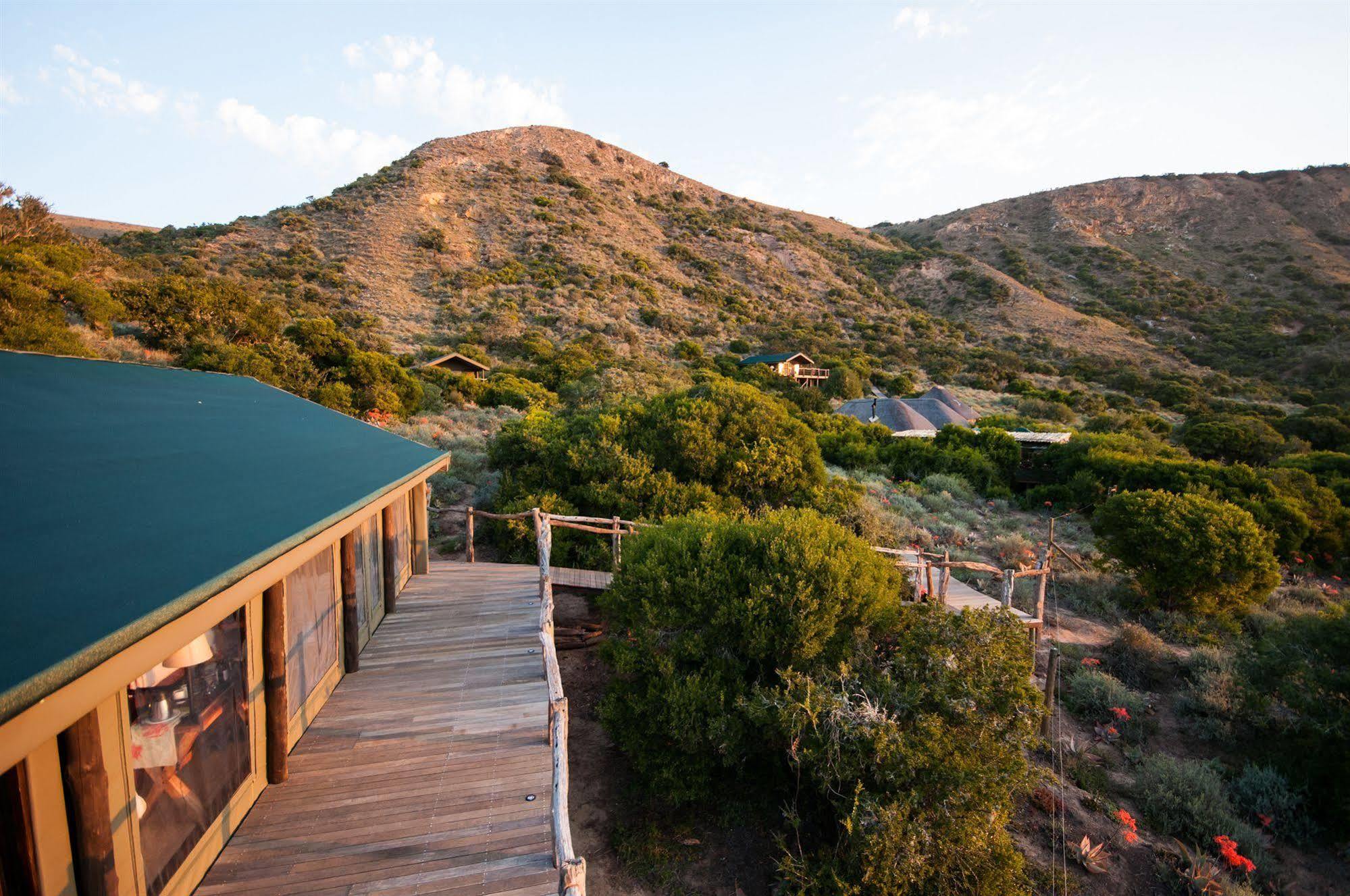 Hillsnek Safari Camp - Amakhala Game Reserve Ngoại thất bức ảnh