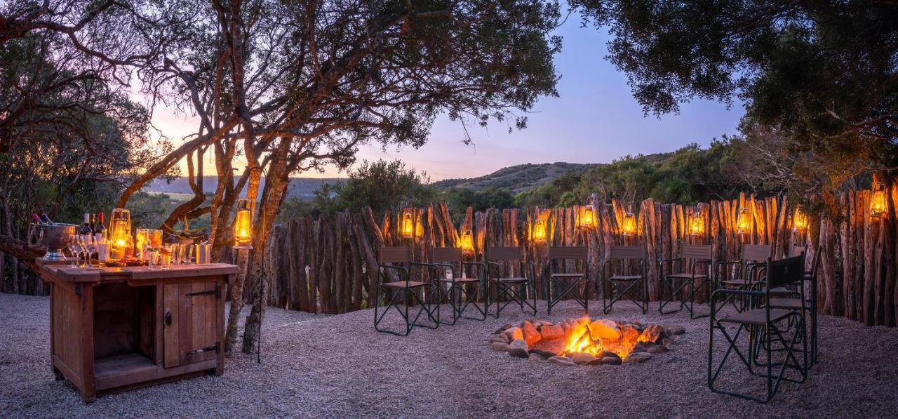 Hillsnek Safari Camp - Amakhala Game Reserve Ngoại thất bức ảnh