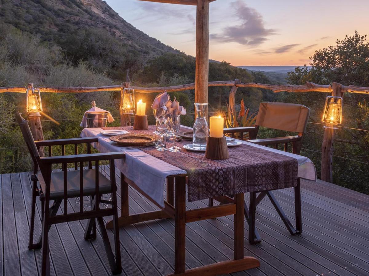 Hillsnek Safari Camp - Amakhala Game Reserve Ngoại thất bức ảnh