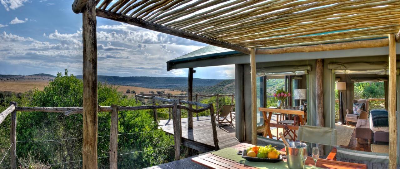 Hillsnek Safari Camp - Amakhala Game Reserve Ngoại thất bức ảnh